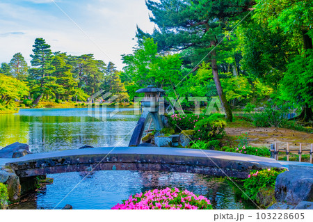 新緑の兼六園 103228605