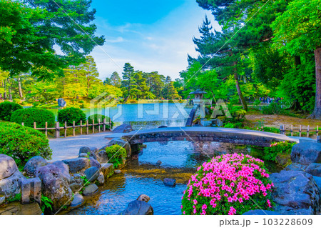 新緑の兼六園 103228609