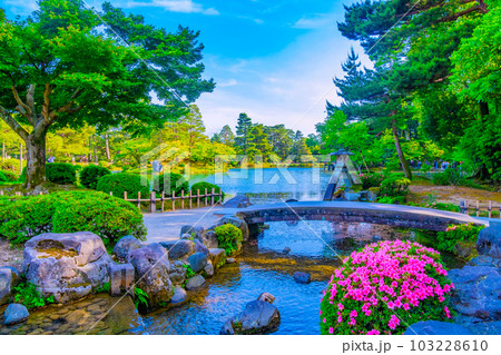 新緑の兼六園 新緑の兼六園 103228610