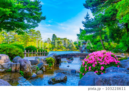 新緑の兼六園 新緑の兼六園 103228611