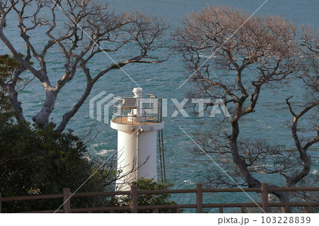めかり観潮遊歩道から見る関門海峡 めかり観潮遊歩道から見る関門海峡 103228839