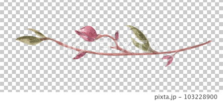 Magnolia flower and branches. Line borders, laurels and text divider. Watercolor illustration. 103228900