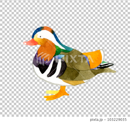 鴛鴦男可愛鬆散動物手繪水彩插畫素材 103229035