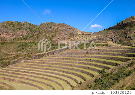 Nice view of the Pisac ruins in Cusco. Nice view of the Pisac ruins in Cusco. 103229129