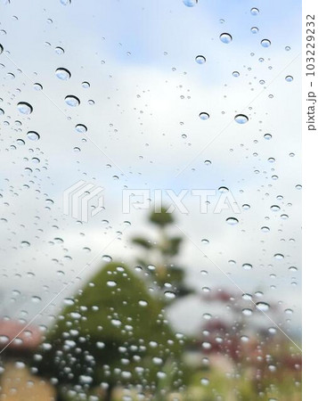 ガラス越しの景色 103229232