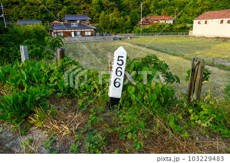 山陰本線566キロポスト・長門大井駅 山陰本線566キロポスト・長門大井駅 103229483