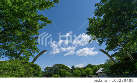 夏の青空と公園の風景 103229489