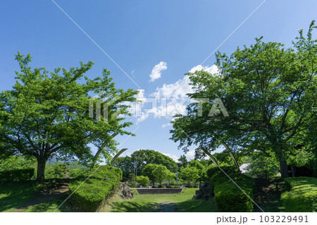 夏の青空と公園の風景 夏の青空と公園の風景 103229491