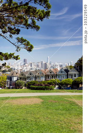 The Painted Ladies and San Francisco downtown The Painted Ladies and San Francisco downtown 103229549