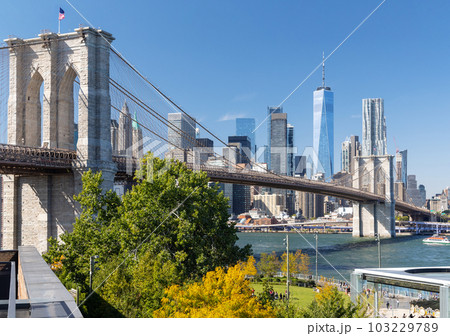 Brooklyn bridge and Manhattan skyscrapers 103229789