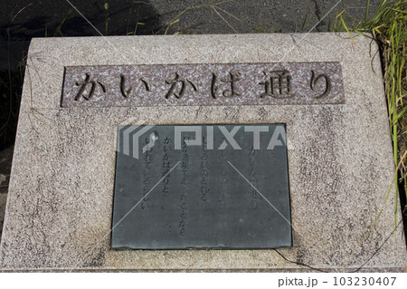 矢切橋周辺の風景イメージ　夏 103230407