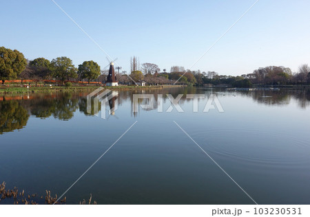 早春の浮間公園（東京都板橋区） 103230531