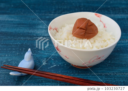 ご飯と梅干し 103230727
