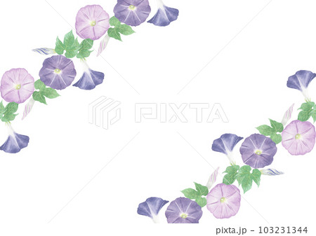 アナログ水彩紫と薄紫の朝顔のフレーム素材 103231344