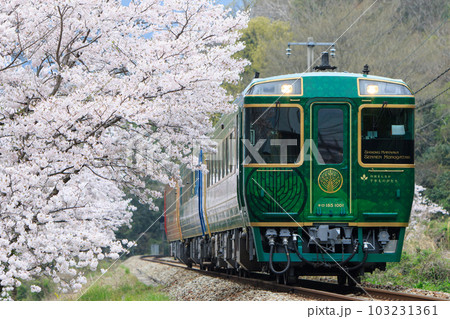 桜と「四国まんなか千年ものがたり」(JR四国) 桜と「四国まんなか千年ものがたり」(JR四国) 103231361