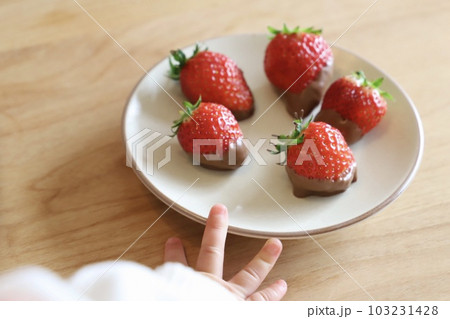 チョコいちご チョコいちご 103231428