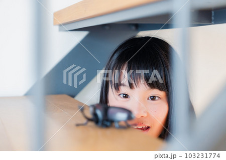 昆虫の観察をする小学生の女の子 103231774
