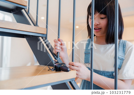 昆虫の観察をする小学生の女の子 103231779