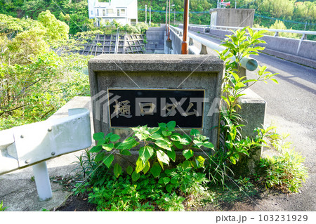 樋口ダム(重力式コンクリートダム) 樋口ダム(重力式コンクリートダム) 103231929