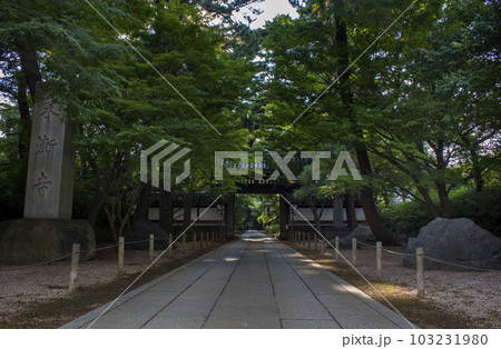 東漸寺 周辺の風景 夏 東漸寺 周辺の風景 夏 103231980