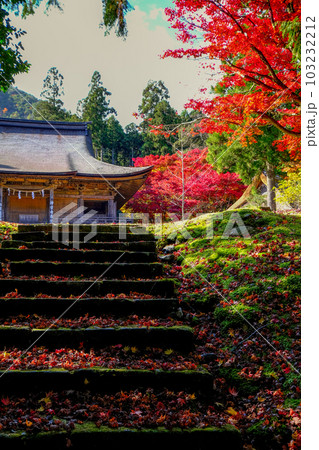 晩秋の神宮寺 103232212