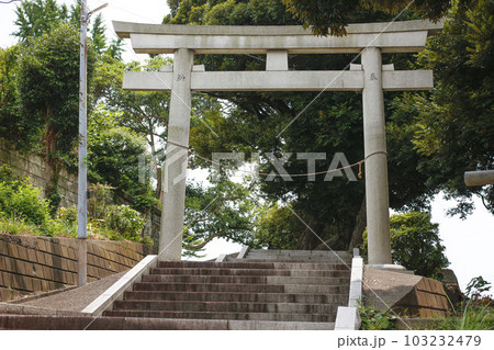 松戸市 胡録神社 周辺の風景 松戸市 胡録神社 周辺の風景 103232479