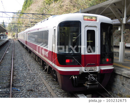 極楽橋駅に停車中の南海31000系電車 103232675