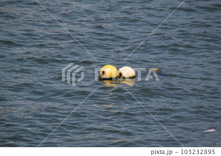 ブイ　海面 103232895