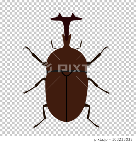 Beetle illustration 103233035