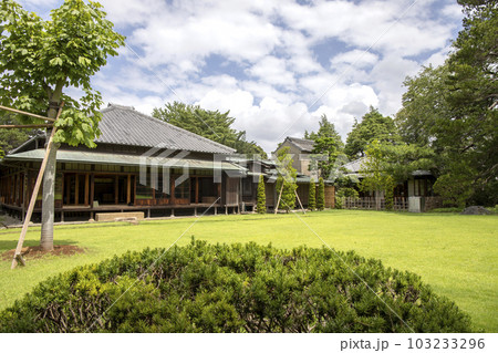 戸定が丘歴史公園 周辺の風景 戸定が丘歴史公園 周辺の風景 103233296