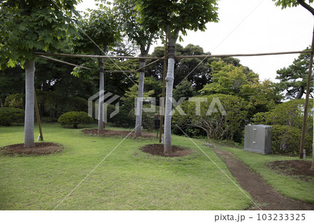 戸定が丘歴史公園　周辺の風景 103233325