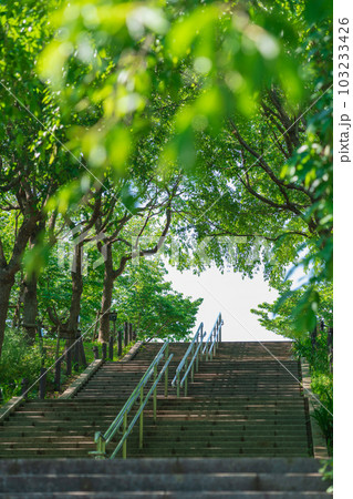 東山動植物園、新緑の桜の回廊〈愛知県名古屋市〉 103233426