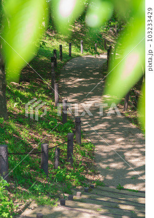 東山動植物園、新緑の桜の回廊〈愛知県名古屋市〉 103233429