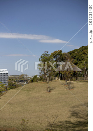 戸定が丘歴史公園 周辺の風景 戸定が丘歴史公園 周辺の風景 103233480