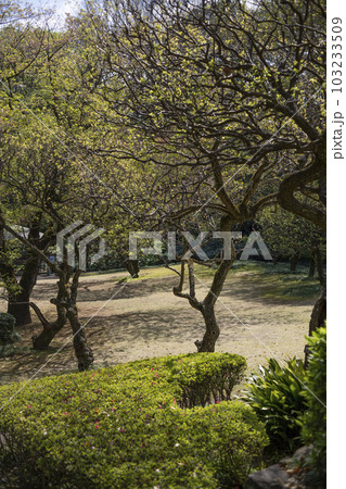 戸定が丘歴史公園 周辺の風景 戸定が丘歴史公園 周辺の風景 103233509