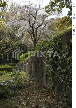戸定が丘歴史公園　周辺の風景 103233515