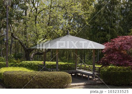 戸定が丘歴史公園　周辺の風景 103233525