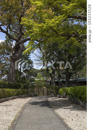 戸定が丘歴史公園 周辺の風景 戸定が丘歴史公園 周辺の風景 103233528