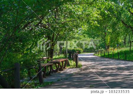 東山動植物園、新緑の桜の回廊〈愛知県名古屋市〉 103233535
