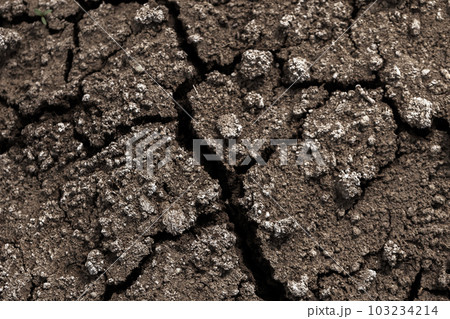 Dry soil with cracks, abstract background texture Dry soil with cracks, abstract background texture 103234214