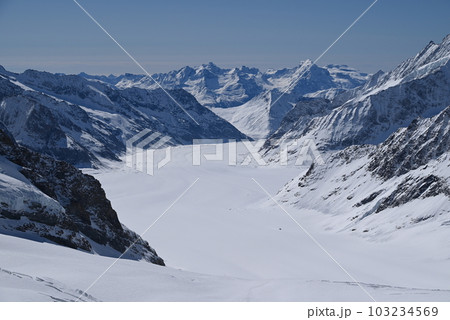 スイス】 アレッチ氷河 ユングフラウ地方の写真素材 [103234569] - PIXTA