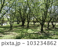 丸亀城散歩 103234862