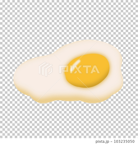 Cute fried egg 103235050