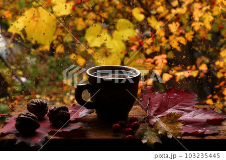 Cup of hot coffee and drops on the window 103235445