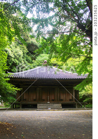 富貴寺大堂と新緑 103235625