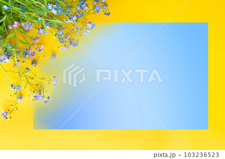 A postcard with forget-me-nots. Mockup for congratulations, invitations 103236523