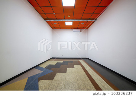 A fragment of the interior of an empty room with a red ceiling 103236837