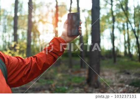 Young woman hand with smartphone catching signal at wooden forest, searching for the service or signal concept Young woman hand with smartphone catching signal at wooden forest, searching for the service or signal concept 103237131