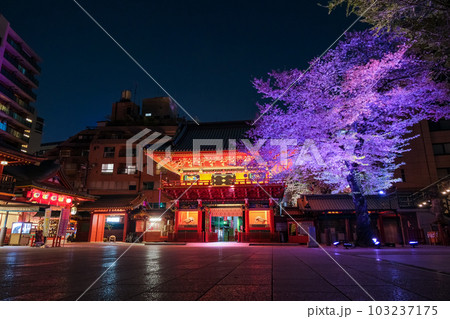 東京都千代田区 神田明神、春の夜桜ライトアップ 東京都千代田区 神田明神、春の夜桜ライトアップ 103237175