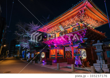 東京都千代田区 神田明神、春のライトアップ 東京都千代田区 神田明神、春のライトアップ 103237176